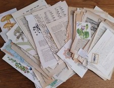 100 ephemera job for sale  BIRKENHEAD