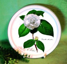 Villeroy boch camellia gebraucht kaufen  Neuengörs