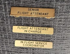 Vintage delta airlines for sale  Sammamish