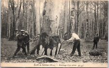 Belleme abattage arbre d'occasion  France