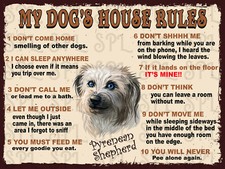 Pyrenean shepherd dog for sale  MANSFIELD