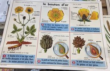 Carte affiche scolaire d'occasion  Forbach