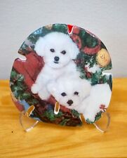 Bichon frise puppies for sale  Coopersburg