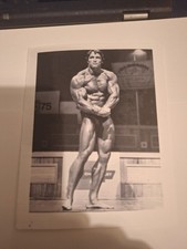 Arnold schwarzenegger arnold for sale  LONDON