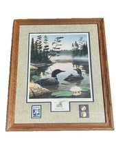 loons collector edition for sale loons collector edition for sale Stevensville