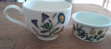 Portmeirion botanic garden. for sale  NORWICH