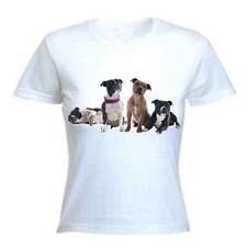 Staffordshire bull terriers d'occasion  Expédié en Belgium