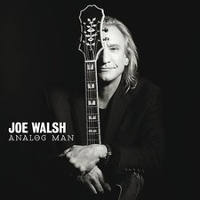 Walsh joe analog gebraucht kaufen  Berlin