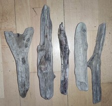 Schwemmholz treibholz schöne gebraucht kaufen  Duisburg
