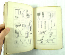 1882 scienze naturali usato  Cremona