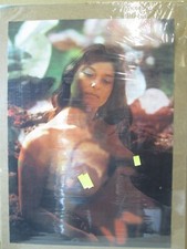 Vintage 1970 hot for sale  Covina