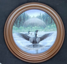 Leger loon voice for sale  Denver