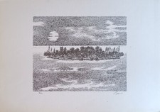 Zancanaro tono isola usato  Italia