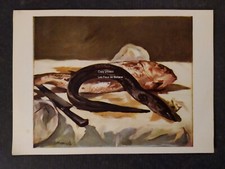 Anguille rouget manet d'occasion  Beaumont-de-Lomagne