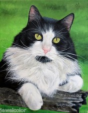 Custom pet painting for sale  Enfield