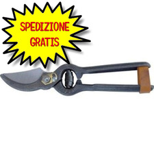 Forbici potatura acciaio usato  San Felice Circeo