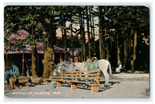1909 putnam wildwood for sale  Glastonbury