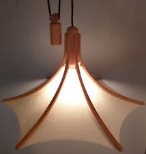 Alte domus pendellampe gebraucht kaufen  Elmenhorst