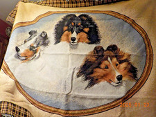 Sheltie shetland sheepdog for sale  Greensburg