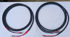 Custom soundscape 12ft for sale  Richardson