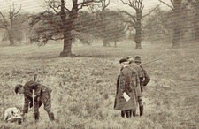 Spaniel club field for sale  WORCESTER