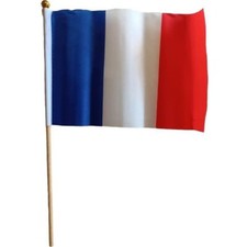 Drapeau français hampe d'occasion  Crépy-en-Valois