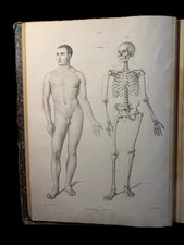 Atlas anatomia artistica usato  Trani