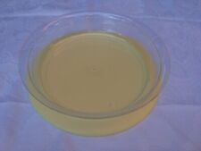 Tupperware tafelperle flach gebraucht kaufen  Uder