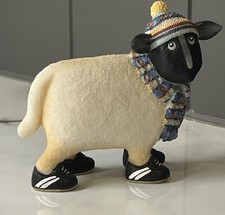 Enesco ewe sheep for sale Enesco ewe sheep for sale  DUKINFIELD
