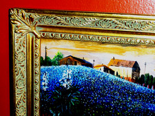 Bluebonnet landscape rural for sale  Houston