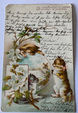 Litho 1901 blume gebraucht kaufen  Borken
