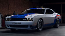 2020 dodge challenger for sale  USA