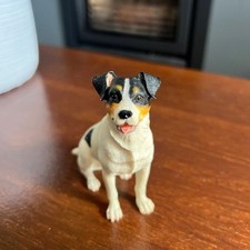 Best breed jack for sale  PERSHORE