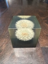 Vtg dandelion cube for sale  Clover
