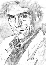 Jeremy irons portrait usato  Isola di Capo Rizzuto