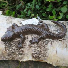 Salamander gecko echse gebraucht kaufen  Wuppertal