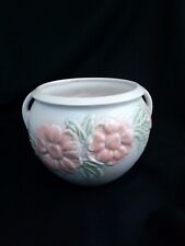 Contemporary park rose for sale  HULL