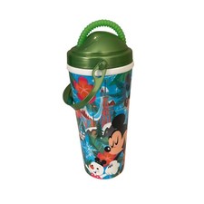 Disney typhoon lagoon for sale  Windermere