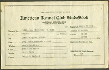 Akc stud book for sale  Hartford