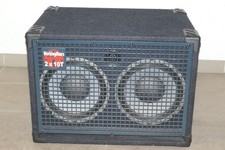 Swr workingman 2x10t gebraucht kaufen  Wetzlar