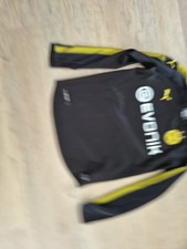Bvb borussia dortmund gebraucht kaufen  Eußenheim