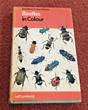 Beetles colour leif for sale  BRAINTREE