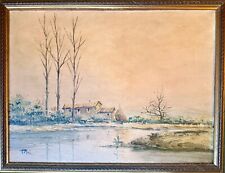 Luciano torsi 20x30 usato  Pisa