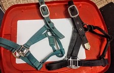 Horse halters hamilton for sale  Sonora