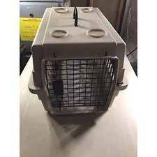 Airline approved cat for sale  Benton City