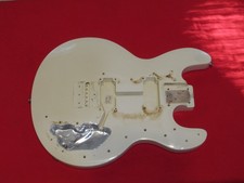Vintage 1979 peavey for sale  Mobile