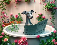 Whippet bath metal for sale  DUNSTABLE
