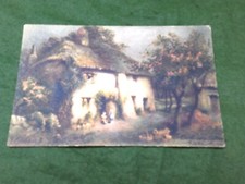 Stoke devon gardeners for sale  STROUD