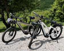 Riese müller bike usato  Amandola