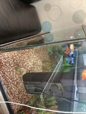 Aquarium 720l komplett gebraucht kaufen  Paderborn